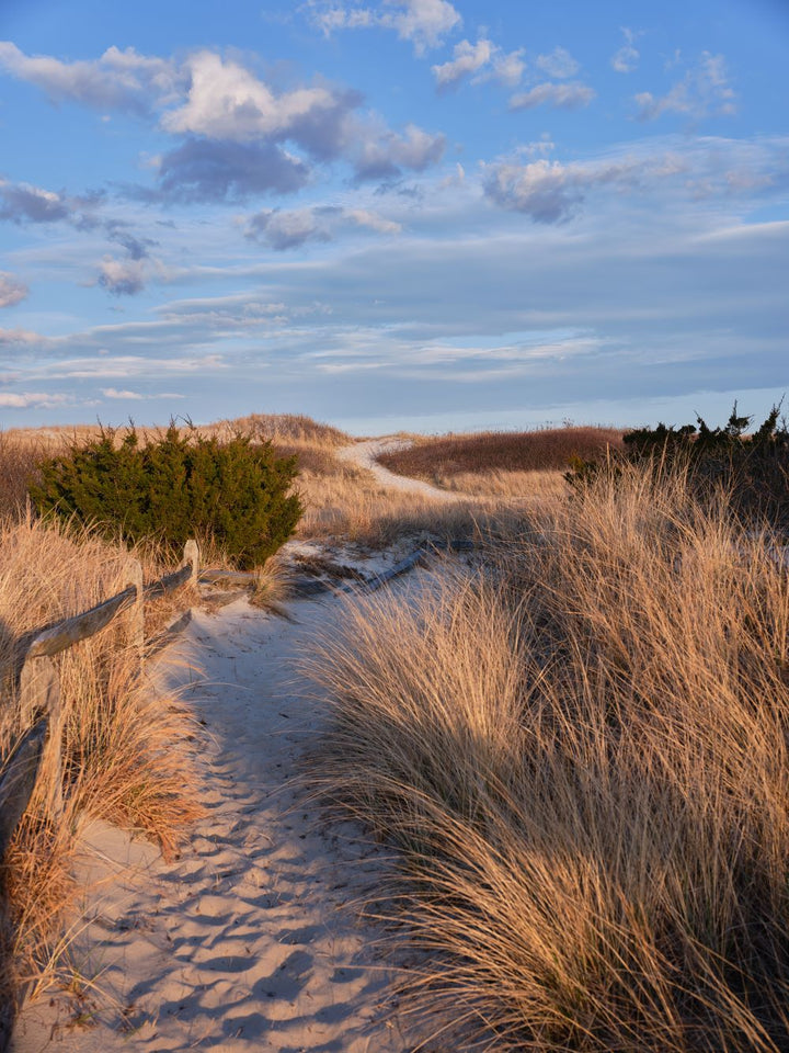 Jeep Friendly Beaches: New Jersey