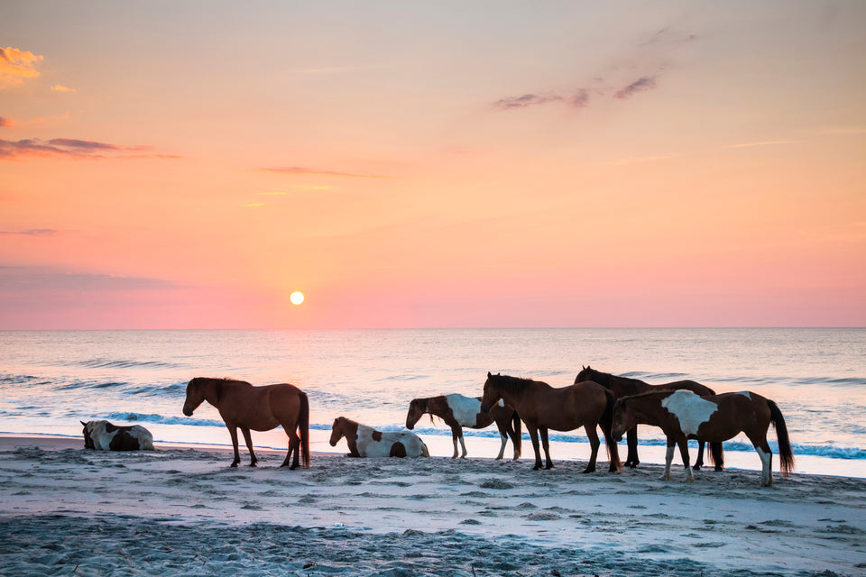 Jeep Friendly Beaches: Virginia